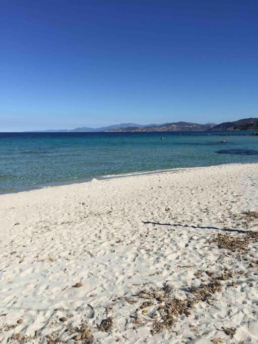 Appart Avec Terrasse Vue Sur Mer Exceptionnelle LʼÎle-Rousse Dış mekan fotoğraf